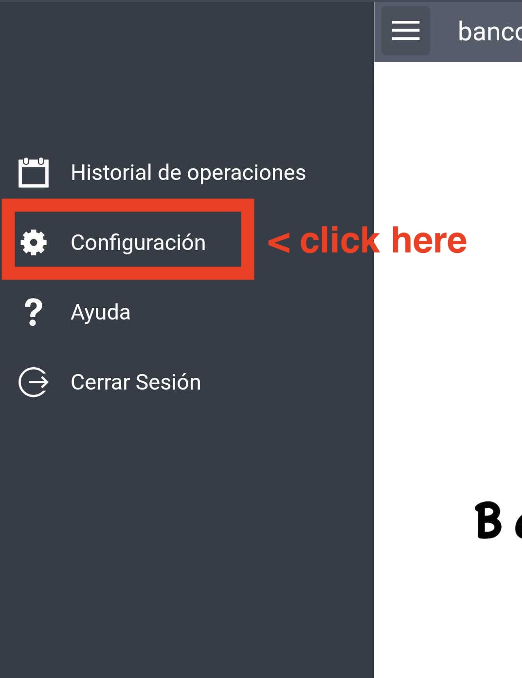 Opción Configuración